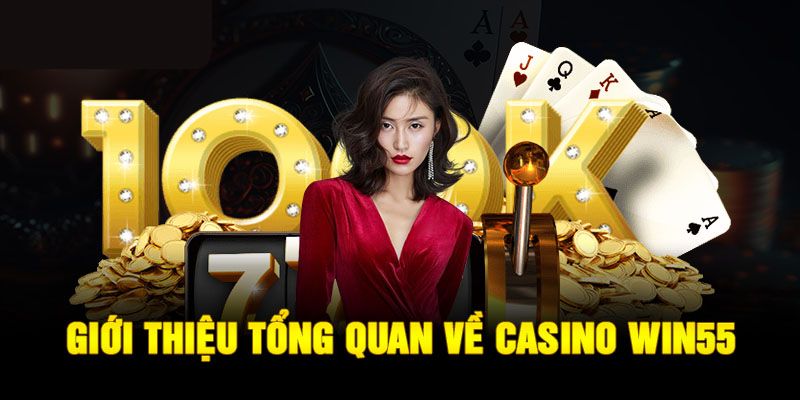 MT Casino là nhà cung cấp uy tín và chuyên nghiệp