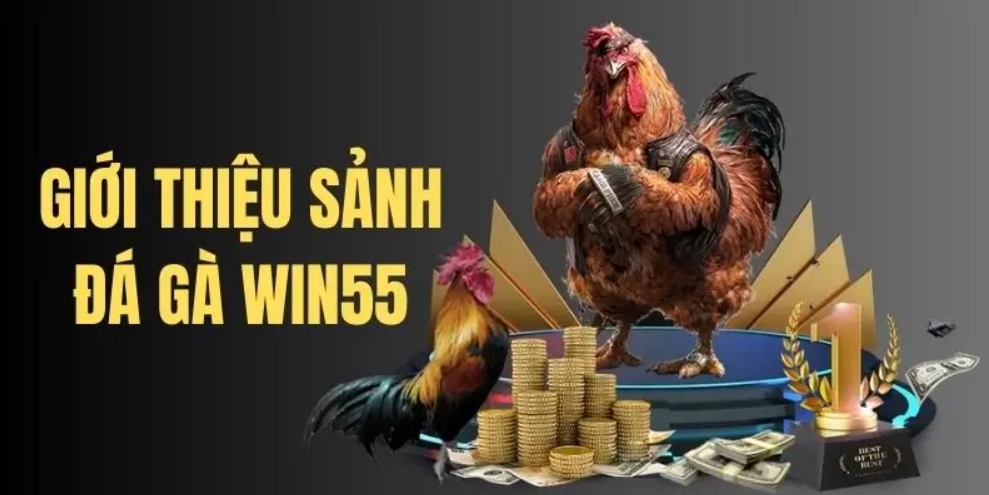 Tổng quan về sảnh đá gà WIN55
