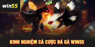 Những kiệu chọi kê WIN55 bạn nên thử
