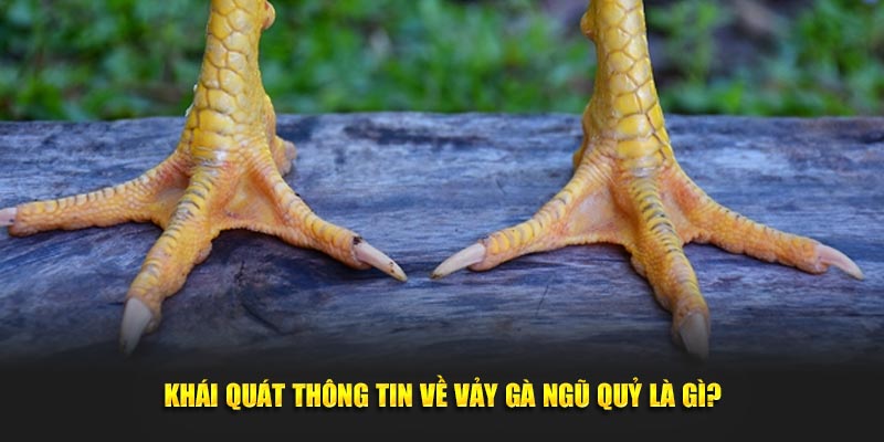 Khái quát thông tin về vảy gà ngũ quỷ là gì?