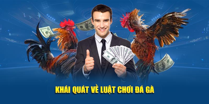 Khái quát về luật chơi đá gà