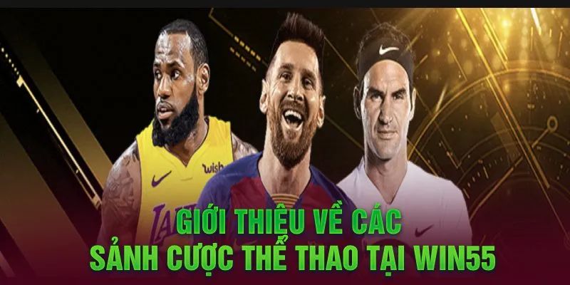 Tìm hiểu vài nét về sảnh CMD368 thể thao WIN55
