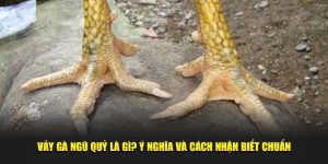 Vảy Gà Ngũ Quỷ