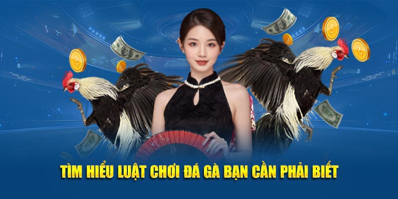 Tìm hiểu luật chơi đá gà bạn cần phải biết