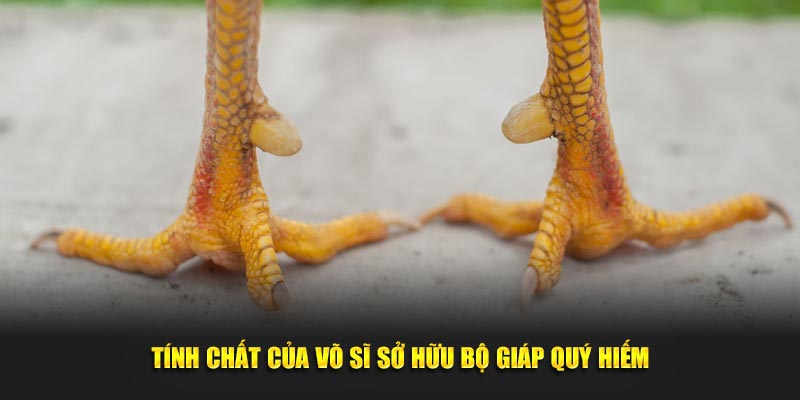 Tính chất của võ sĩ sở hữu bộ giáp quý hiếm