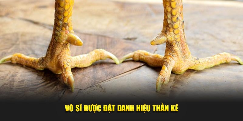 Võ sĩ được đặt danh hiệu thần kê