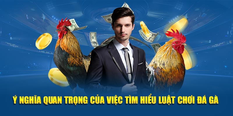 Ý nghĩa quan trọng của việc tìm hiểu luật chơi đá gà